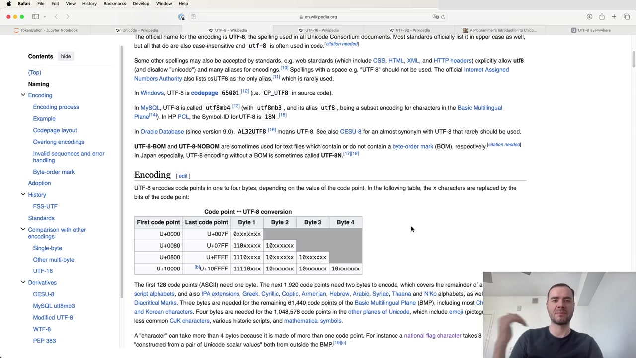 Wikipedia article on UTF-8 encoding